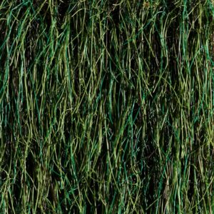 Carpet Green